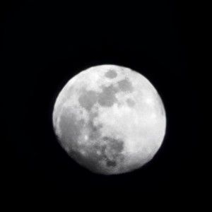 Meet your Posher, Nicholas